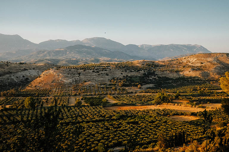 vigneti di Heraklion cibo cretese
